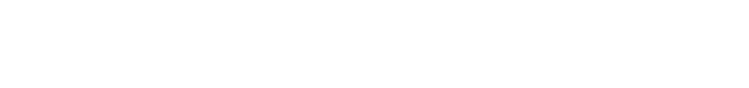 Elesonic Group